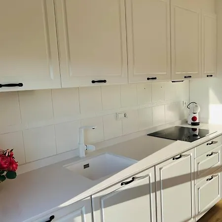 Luminoso Atico Con Terraza